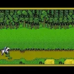 Advanced Dungeons & Dragons - Hillsfar (Japan)
