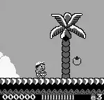 Adventure Island (USA, Europe)