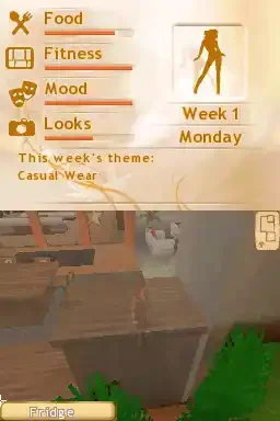 Play America's Next Top Model (USA) Retro Game Online Free