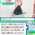 Anata Dake no Private Lesson - DS de Hajimeru Tipness no Yoga (Japan)