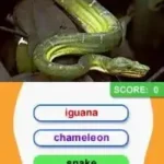 Animal Genius (Europe) (En,Fr,De,Es,It,Nl,Sv,No,Da)