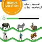 Animal Genius (USA)