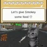 Animal Paradise - Wild (USA) (En,Fr,Es)