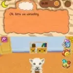 Baby Wild Katzen (Germany)