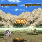 Bastard!! - Ankoku no Hakaishin (Japan)