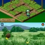 Beetle King (Europe)