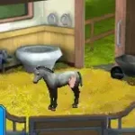 Best Friends - My Horse (E)(Lightforce)