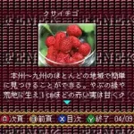 BS Fenek - 6 Getsu (Japan)