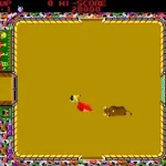 Bullfight (315-5065)