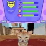 Catz 2 (Europe) (En,Fr,De,Es,It,Nl,Sv,No,Da)