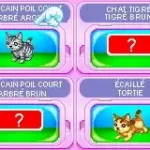 Catz (E)(Rising Sun)