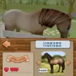 Championship Pony (USA)