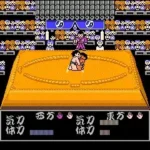 Chiyonofuji no Ooichou (Japan)