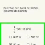 Cornelsen Trainer - Mathe - Klasse 6 (Europe) (En,De)