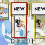 Dark Super Sonic in Sonic 3 & Knuckles
