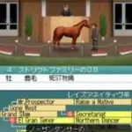 Derby Stallion DS (Japan)