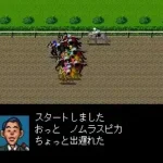 Derby Stallion II (Japan)