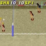Dig & Spike Volleyball (USA)