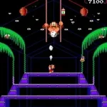 Donkey Kong 3 (US) [No sound]