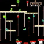 Donkey Kong Jr. (Moon Cresta hardware) [Bootleg, Bad Colours]