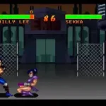 Double Dragon V - The Shadow Falls (World)