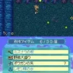 Dungeon of Windaria (Japan)