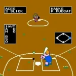 Dusty Diamond's All-Star Softball (USA)