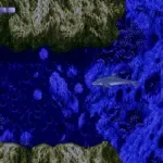 Ecco the Dolphin