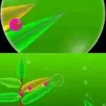 Electroplankton (Europe) (En,Fr,De,Es,It)