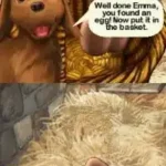 Emma at the Farm (Europe) (En,De,Sv,No,Da,Fi)