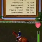 Equestrian Training (Europe)