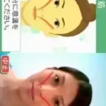 Facening de Hyoujou Yutaka ni Inshou Up - Otona no DS Kao Training (Japan)