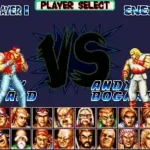 Fatal Fury Special