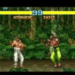 Fighter's History - Mizoguchi Kikiippatsu!! (Japan)