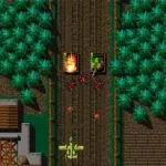 Fighting Hawk (Japan)