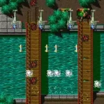 Fighting Hawk (World)