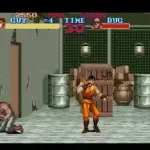 Final Fight Guy (Japan)