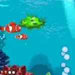 Finding Nemo (E)(Patience)