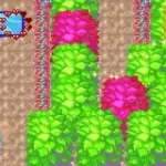 Finding Nemo - The Continuing Adventures (E)(Independent)