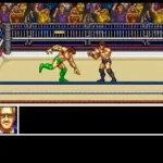 Funaki Masakatsu Hybrid Wrestler - Tougi Denshou (Japan)