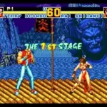 Garou Densetsu Special