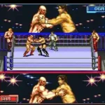 Hammerlock Wrestling (USA)