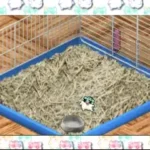 Hamster Monogatari 64 (Japan)