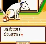 Hamster Paradise 3 (Japan)