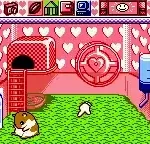 Hamster Paradise (Japan)