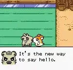 Hamtaro - Ham-Hams Unite! (Europe) (En,Fr,De,Es,It)