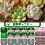 Hana Saku DS Gardening Life (Japan)