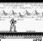 Hiryuu no Ken Gaiden (Japan)