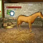 Horse and Pony - Let's Ride 2 (E)(Rising Sun)