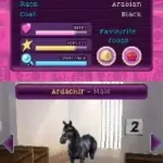 Horse Life 3 (Europe) (En,Fr,De,Es,It,Nl)